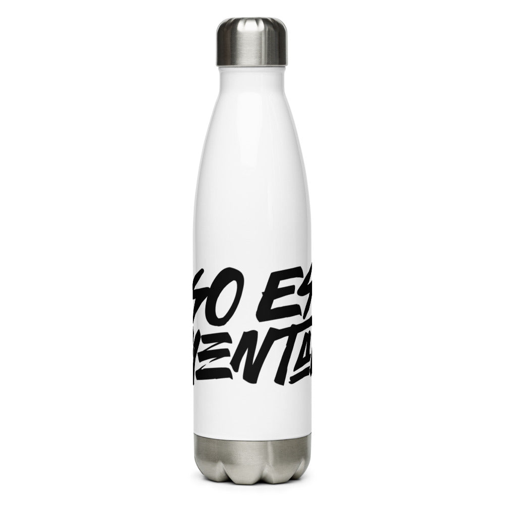 Stainless Steel Water Bottle