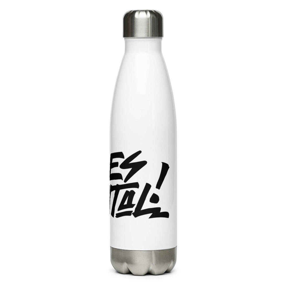 Stainless Steel Water Bottle